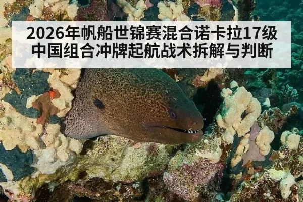 2026年帆船世锦赛混合诺卡拉17级中国组合冲牌起航战术拆解与判断